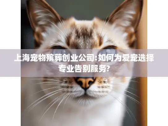 上海宠物殡葬创业公司:如何为爱宠选择专业告别服务?