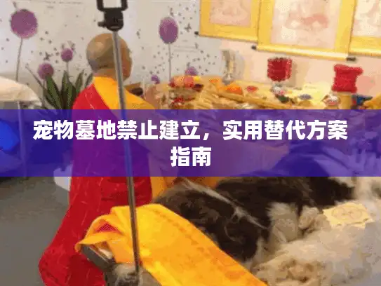 宠物墓地禁止建立，实用替代方案指南