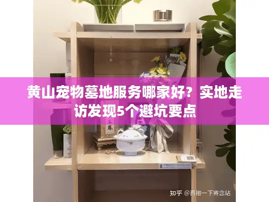 黄山宠物墓地服务哪家好？实地走访发现5个避坑要点