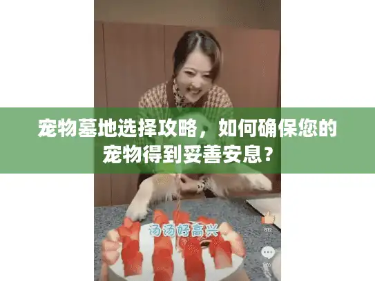 宠物墓地选择攻略，如何确保您的宠物得到妥善安息？