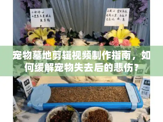 宠物墓地剪辑视频制作指南，如何缓解宠物失去后的悲伤？