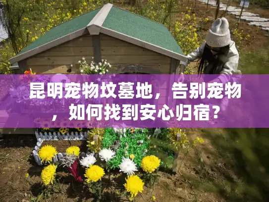 昆明宠物坟墓地，告别宠物，如何找到安心归宿？