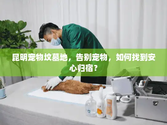 昆明宠物坟墓地，告别宠物，如何找到安心归宿？