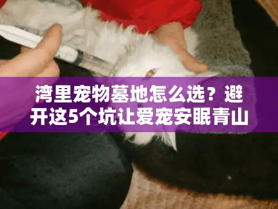 湾里宠物墓地怎么选？避开这5个坑让爱宠安眠青山