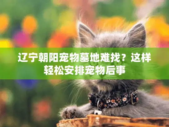 辽宁朝阳宠物墓地难找？这样轻松安排宠物后事