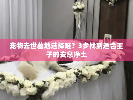 宠物去世墓地选择难？3步找到适合主子的安息净土