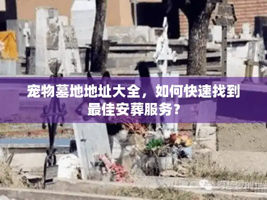宠物墓地地址大全，如何快速找到最佳安葬服务？