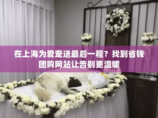 在上海为爱宠送最后一程？找到省钱团购网站让告别更温暖