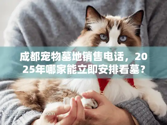 成都宠物墓地销售电话，2025年哪家能立即安排看墓？