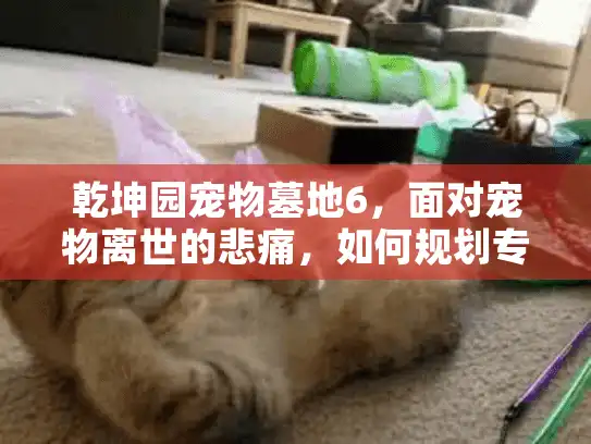 乾坤园宠物墓地6，面对宠物离世的悲痛，如何规划专业宠物葬礼服务解决方案