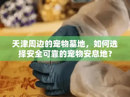 天津周边的宠物墓地，如何选择安全可靠的宠物安息地？
