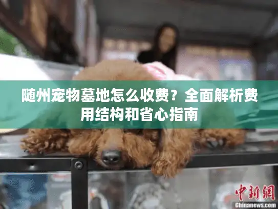 随州宠物墓地怎么收费？全面解析费用结构和省心指南