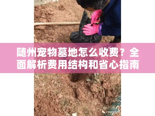 随州宠物墓地怎么收费？全面解析费用结构和省心指南