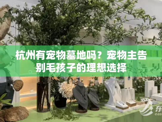 杭州有宠物墓地吗？宠物主告别毛孩子的理想选择