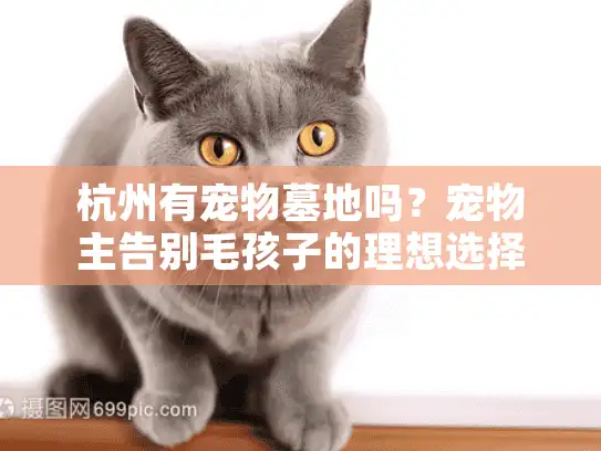 杭州有宠物墓地吗？宠物主告别毛孩子的理想选择