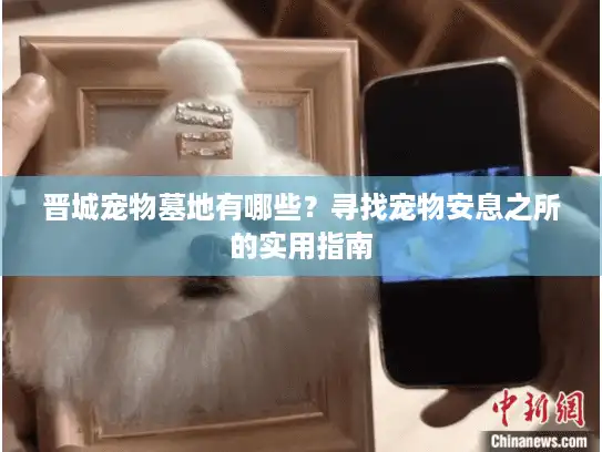 晋城宠物墓地有哪些？寻找宠物安息之所的实用指南