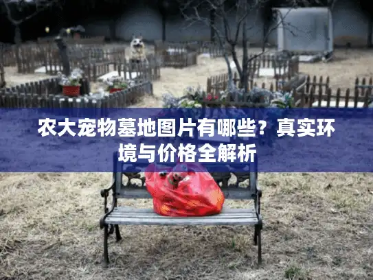 农大宠物墓地图片有哪些？真实环境与价格全解析