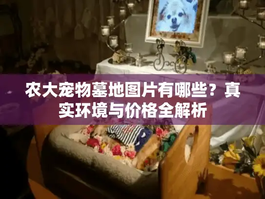 农大宠物墓地图片有哪些？真实环境与价格全解析