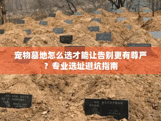 宠物墓地怎么选才能让告别更有尊严？专业选址避坑指南