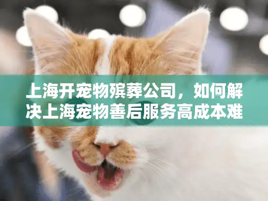 上海开宠物殡葬公司，如何解决上海宠物善后服务高成本难题？