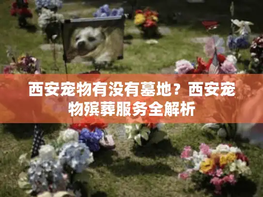 西安宠物有没有墓地？西安宠物殡葬服务全解析
