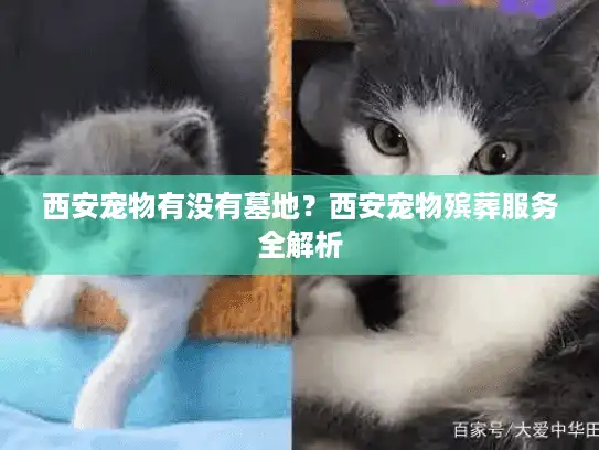 西安宠物有没有墓地？西安宠物殡葬服务全解析