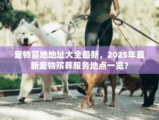 宠物墓地地址大全最新，2025年最新宠物殡葬服务地点一览？
