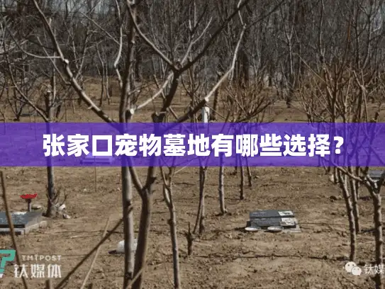 张家口宠物墓地有哪些选择？