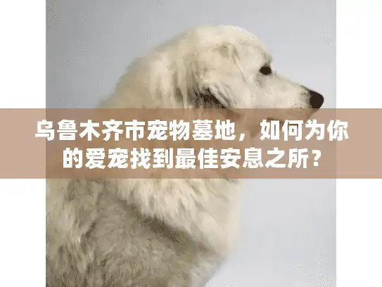 乌鲁木齐市宠物墓地，如何为你的爱宠找到最佳安息之所？