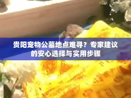 贵阳宠物公墓地点难寻？专家建议的安心选择与实用步骤
