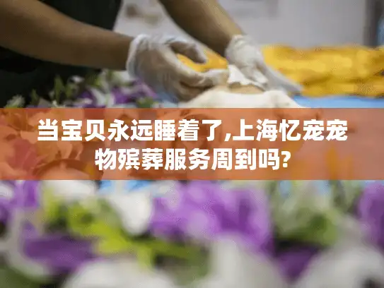 当宝贝永远睡着了,上海忆宠宠物殡葬服务周到吗?