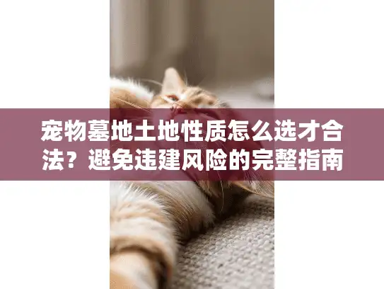 宠物墓地土地性质怎么选才合法？避免违建风险的完整指南