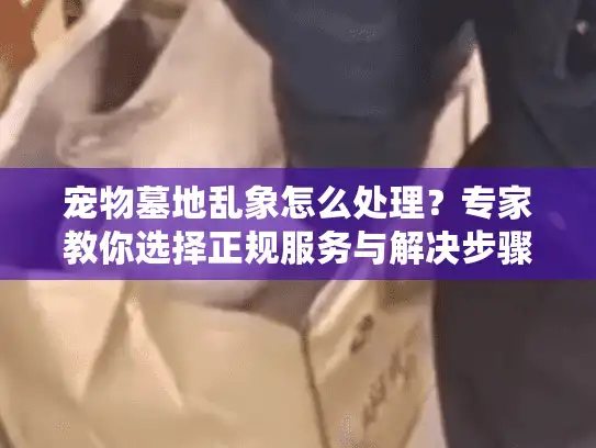 宠物墓地乱象怎么处理？专家教你选择正规服务与解决步骤