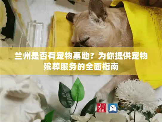 兰州是否有宠物墓地？为你提供宠物殡葬服务的全面指南