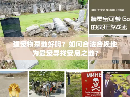 建宠物墓地好吗？如何合法合规地为爱宠寻找安息之地？