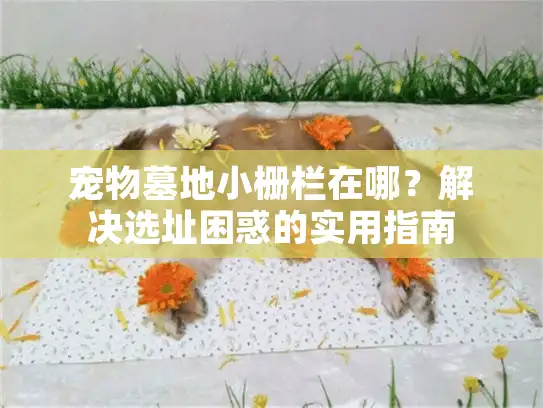 宠物墓地小栅栏在哪？解决选址困惑的实用指南