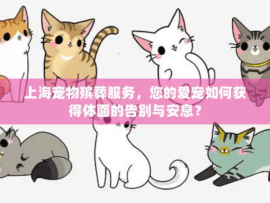 上海宠物殡葬服务，您的爱宠如何获得体面的告别与安息？