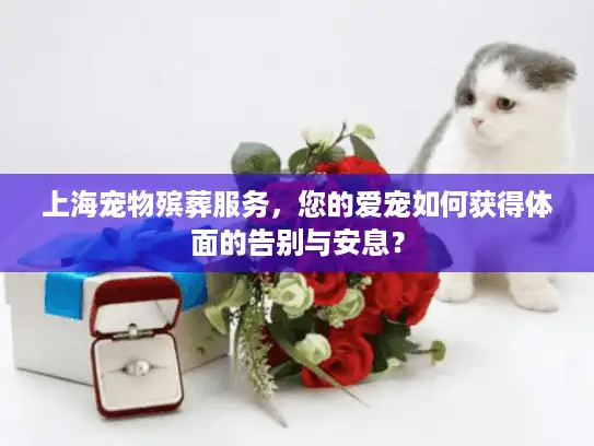 上海宠物殡葬服务，您的爱宠如何获得体面的告别与安息？