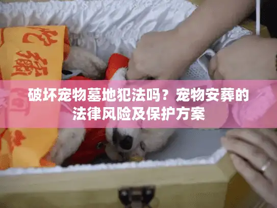 破坏宠物墓地犯法吗？宠物安葬的法律风险及保护方案