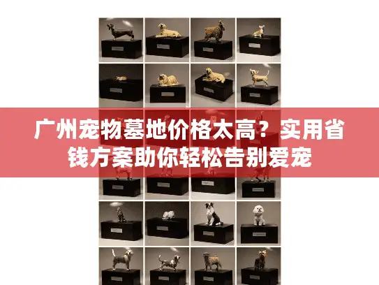 广州宠物墓地价格太高？实用省钱方案助你轻松告别爱宠