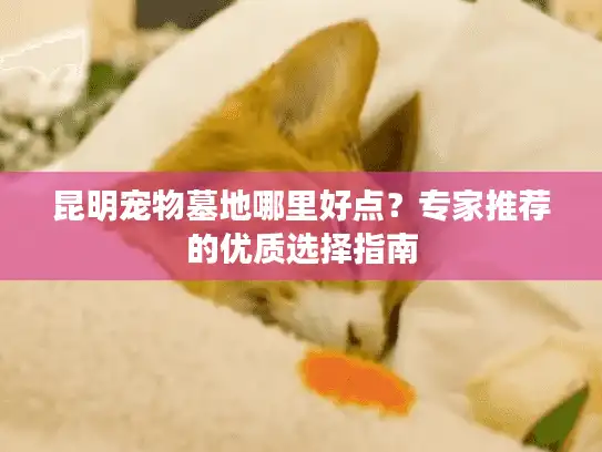 昆明宠物墓地哪里好点？专家推荐的优质选择指南