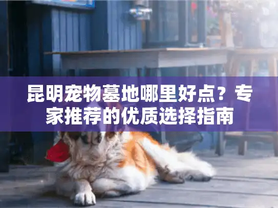 昆明宠物墓地哪里好点？专家推荐的优质选择指南