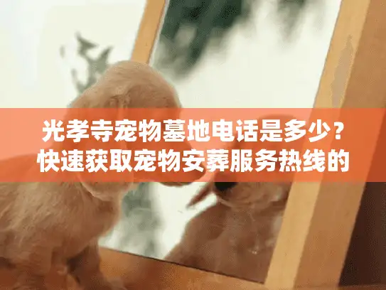 光孝寺宠物墓地电话是多少？快速获取宠物安葬服务热线的实用指南