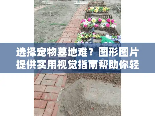 选择宠物墓地难？图形图片提供实用视觉指南帮助你轻松决策