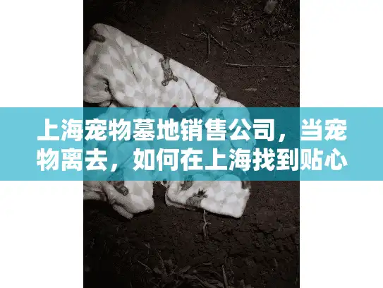 上海宠物墓地销售公司，当宠物离去，如何在上海找到贴心可靠的安息之地？