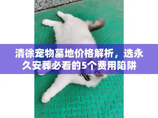 清徐宠物墓地价格解析，选永久安葬必看的5个费用陷阱