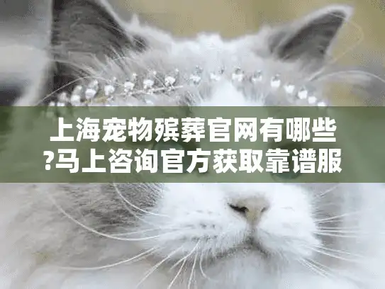 上海宠物殡葬官网有哪些?马上咨询官方获取靠谱服务机构名单!