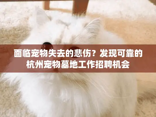 面临宠物失去的悲伤？发现可靠的杭州宠物墓地工作招聘机会