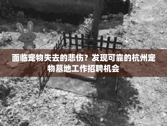 面临宠物失去的悲伤？发现可靠的杭州宠物墓地工作招聘机会