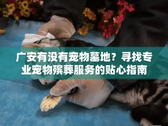 广安有没有宠物墓地？寻找专业宠物殡葬服务的贴心指南